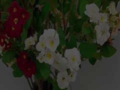 シミュレーション ローズ フラワー 横線 多頭 シミュレーション 花 人工 花束 結婚式 飾り