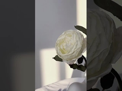 シミュレーション 単一のバラの花束 マンタ バラの花束 撮影道具 ノルディック家庭装飾 結婚花束 cr