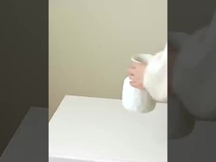 8つの小さなクラシモンのシミュレーション,本物のクラシモンの真似,家庭装飾,結婚式,