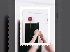 女神 単品 小さい花束 透明なOPP防水フィルム 包装された花の紙 diymate