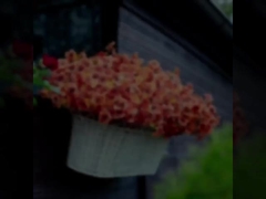 屋外祭りの飾り,秋の植物,人工のユカリプトス葉,ユカリプトスバイオレット,デイジー