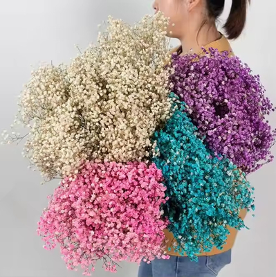 良い価格 100g 乾燥した花 人工花束 ベビー息 ジプソフィラ 花 結婚式の飾り心地 オンライン
