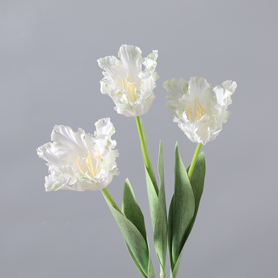 良い価格 3Dプリント 歯のある単枝のオオカミチューリップ 潤滑感のある人工花 人工花園工学花束 オンライン