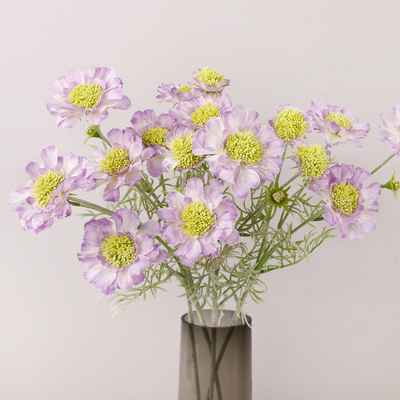 良い価格 シミュレーションホイール ピーク クライサンセム パイン コルディセプス ホーム 偽りの花 配置道具 飾り 玉米花 シミュレーション 花 プラスチック オンライン