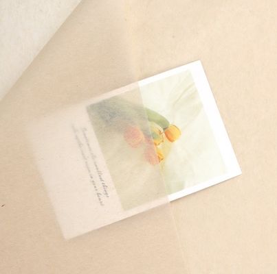 良い価格 Effortlessly Elegant Korean-Style Copy Paper for Flower Wrapping and Gift Packaging オンライン