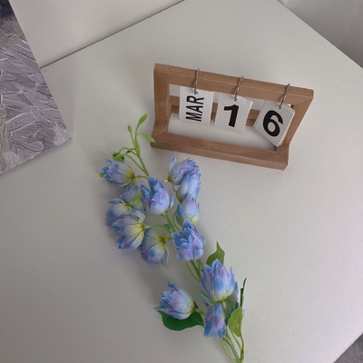 良い価格 人工花 群れ花 プラエノプシス 人工花 シルク花 家庭用飾り花 結婚式の飾り花 谷の百合花 風の花 オンライン