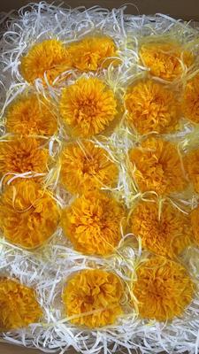 良い価格 Preserved flower dhalia romantic Valentine's Day gift hand-made bouquet material  オンライン