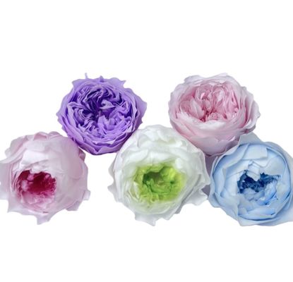 良い価格 エターナル・ローズ オースティン 8点セット プレミアムギフト DIY素材 卸売 乾燥花 チョコレートバブル オンライン